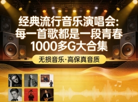 【无损音乐】经典流行音乐演唱会：每一首歌都是一段青春1000多G大合集
